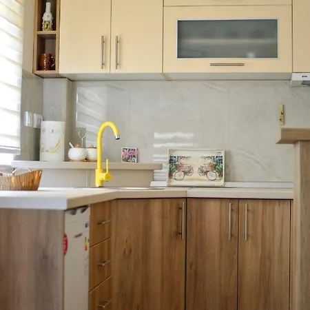 Bozur זלאטיבור