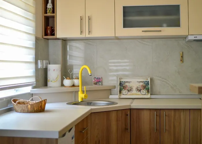 Bozur 公寓 兹拉蒂博尔